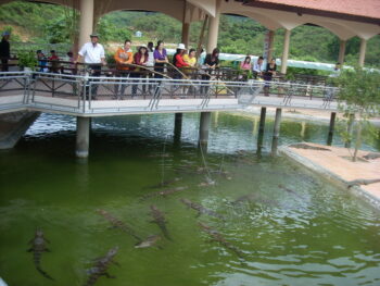 Thác Yangbay với Tour Nha Trang 1 ngày - Hình ảnh 5