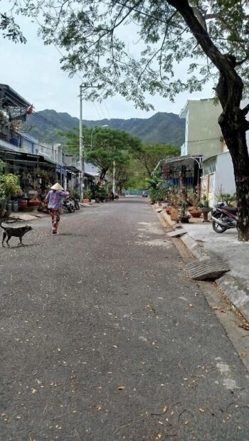 Đất Khu tái định cư Đất Lành - đường nhựa 13m, khu dân cư, hạ tầng hoàn chỉnh - Hình ảnh 3