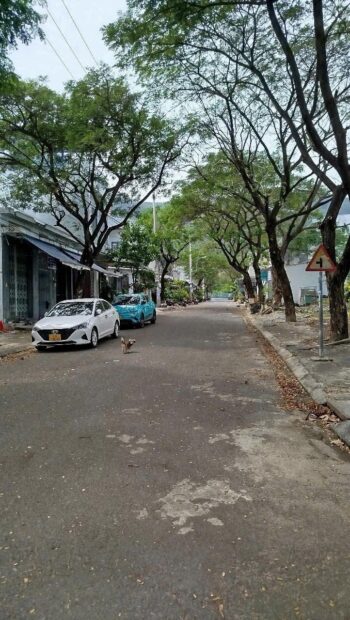 Đất Khu tái định cư Đất Lành - đường nhựa 13m, khu dân cư, hạ tầng hoàn chỉnh - Hình ảnh 2