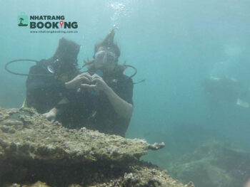 Tour Lặn Biển Ngắm San Hô Tại Vịnh Nha Trang - Ảnh 5