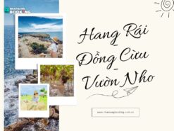 Tour Hang Rái - Vĩnh Hy - Vườn Nho - Đồng Cừu