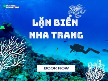 Tour Ghép Đoàn Nha Trang: Trọn Gói, Chất Lượng Cao - Ảnh 7