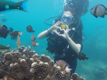 Tour Lặn Biển Ngắm San Hô Tại Vịnh Nha Trang - Ảnh 3