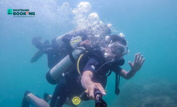 Tour Lặn Biển Ngắm San Hô Tại Vịnh Nha Trang - Ảnh 2
