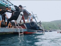 Tour Lặn Biển Ngắm San Hô Tại Vịnh Nha Trang